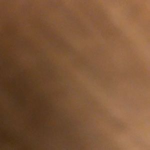 Meet your Posher, Leo